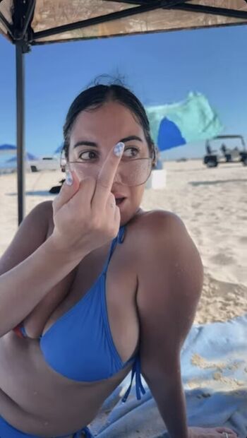 Stephllanes_