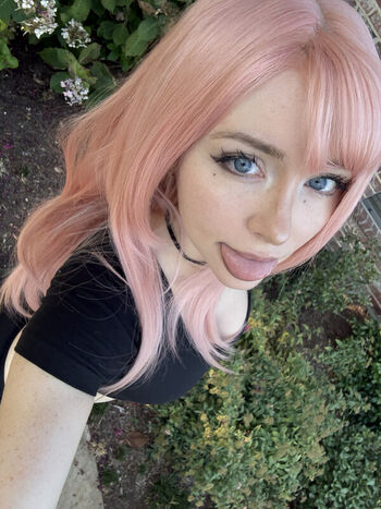 tabbyycatts