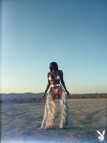 Tanerelle