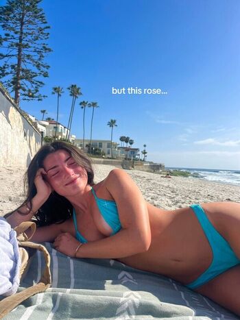 Taylor Waymire