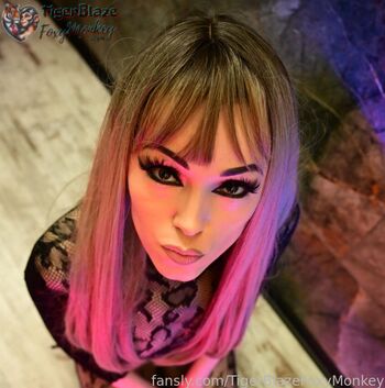 TigerBlazeFoxyMonkey