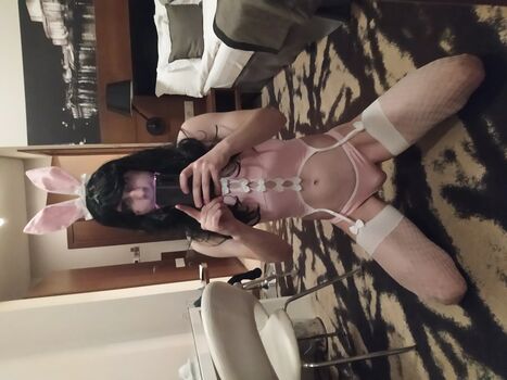 trapbunny