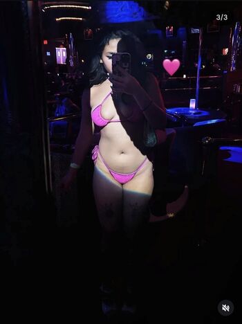 Visual Vixen