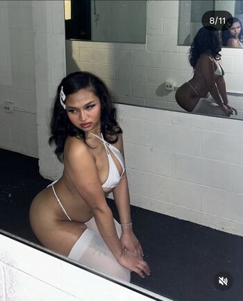 Visual Vixen