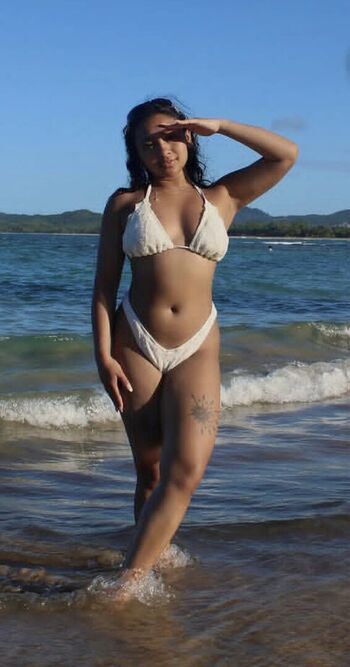 Visual Vixen