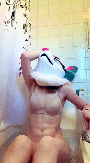 VixnRoo
