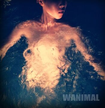 Wanimal Models