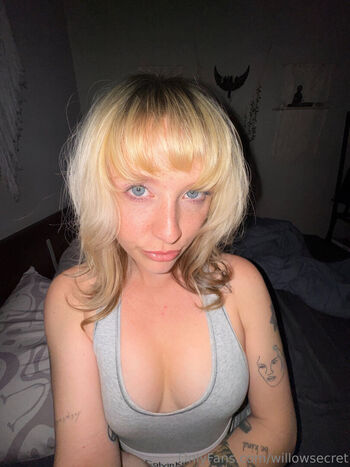 willowsecret