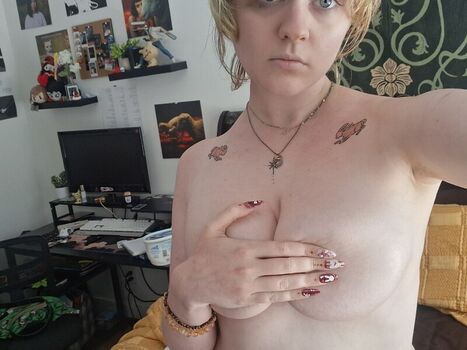 WindexNoises