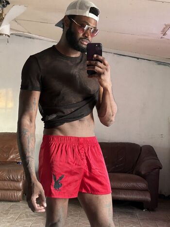 Wintry Stallion
